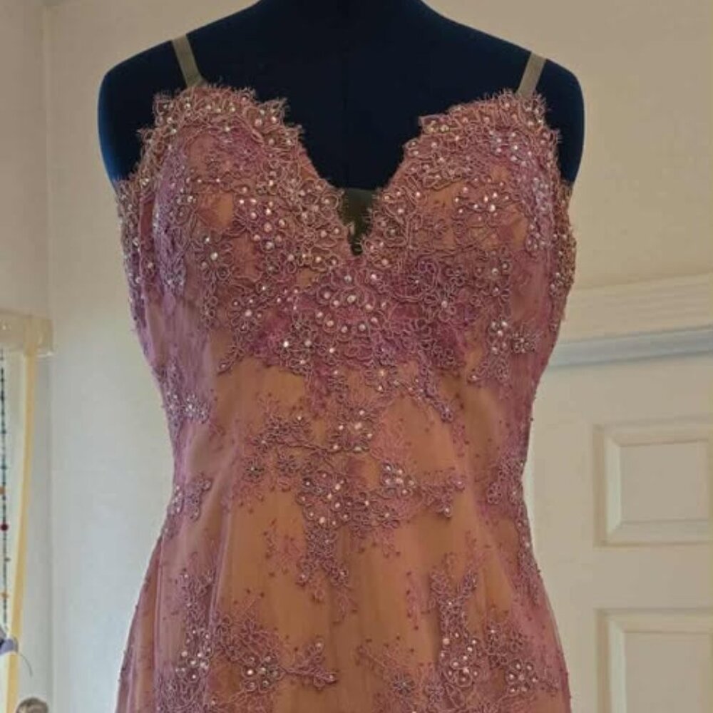 size 12 prom dress